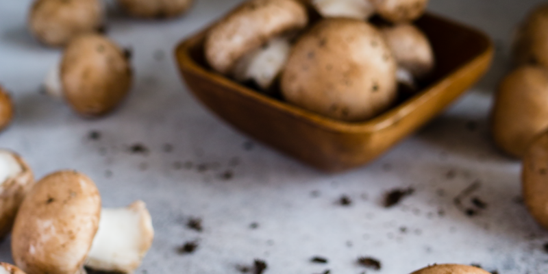 Various functional mushroom species used in supplements